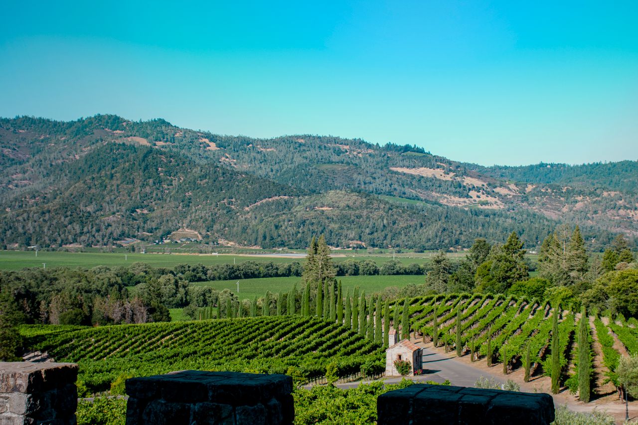 Napa California