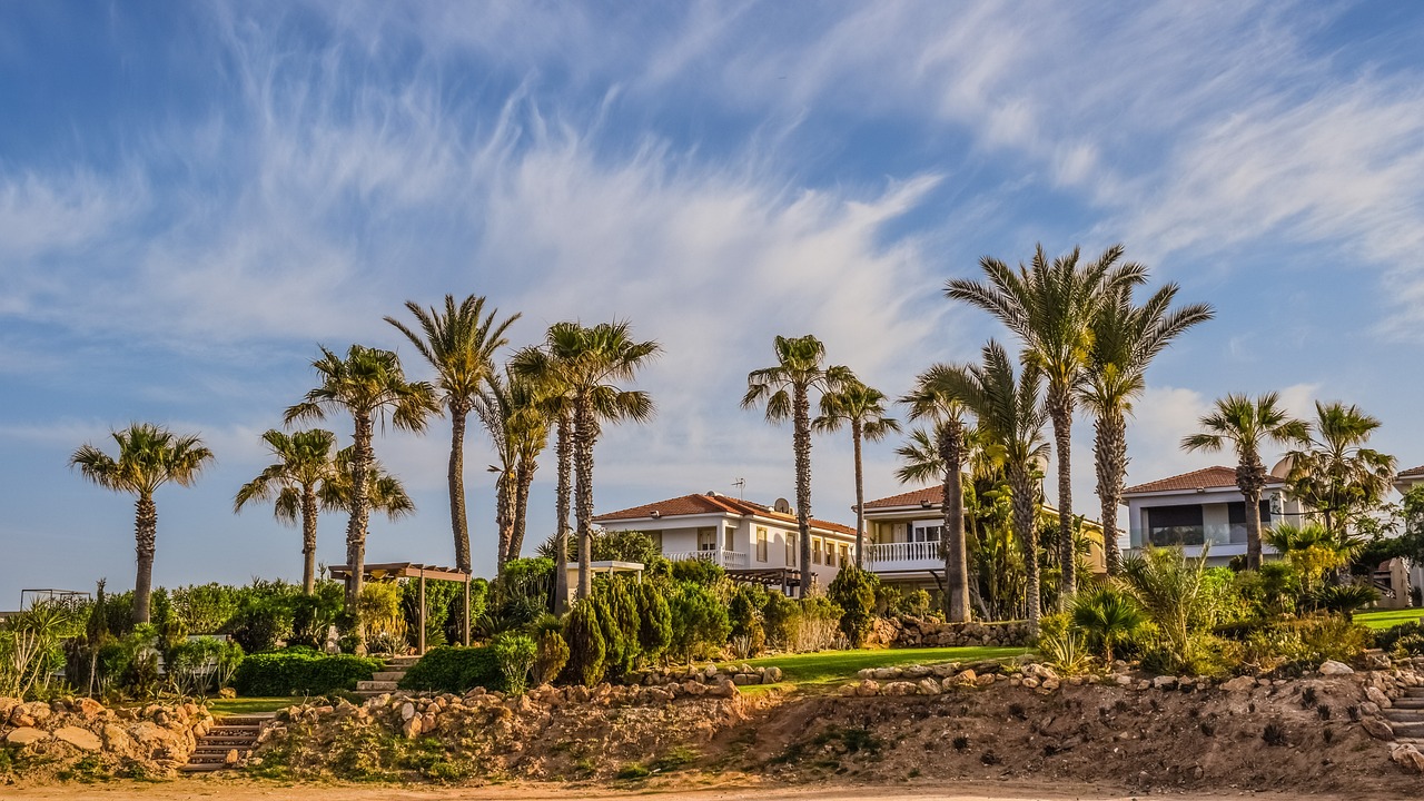 Palms trees with houses in the background. Image by Pixabay