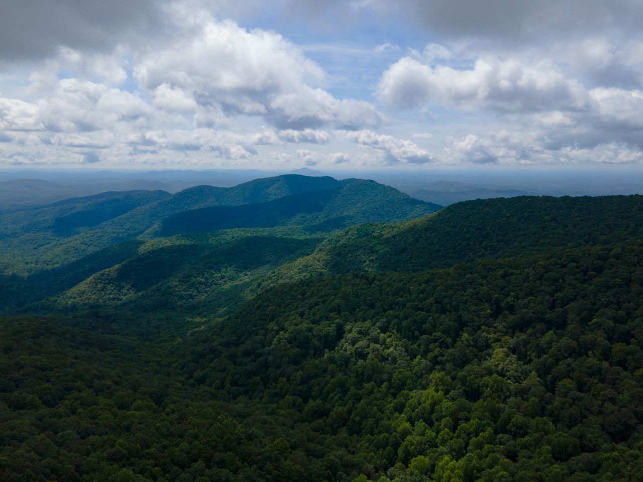 Rolling forested mountains. Image by Pexels