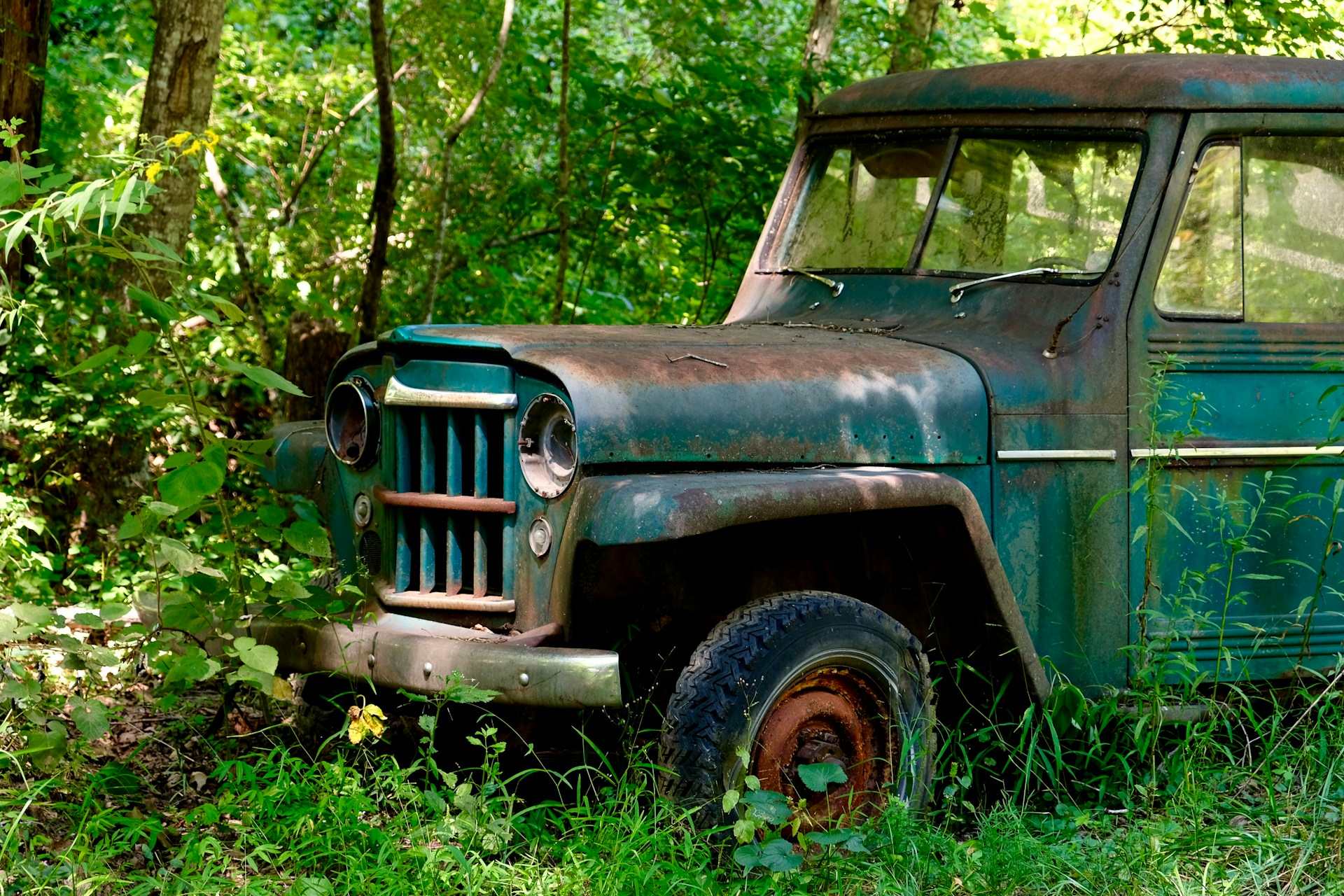 Old green rustic car in the middle of a forest. Image by Unsplash.