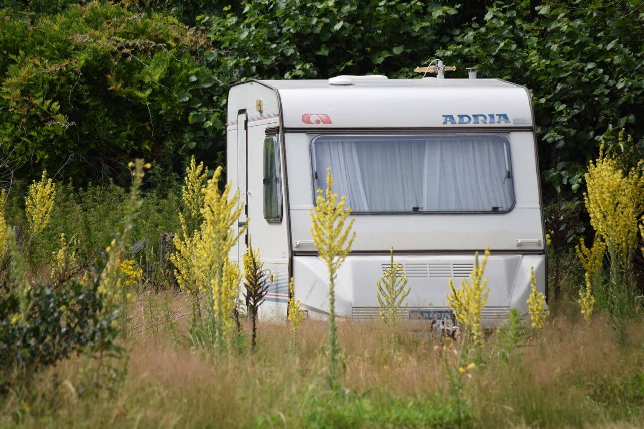 A picturesque white caravan surrounded by lush greenery and vibrant yellow wildflowers in a serene outdoor setting.. Image by Pexels