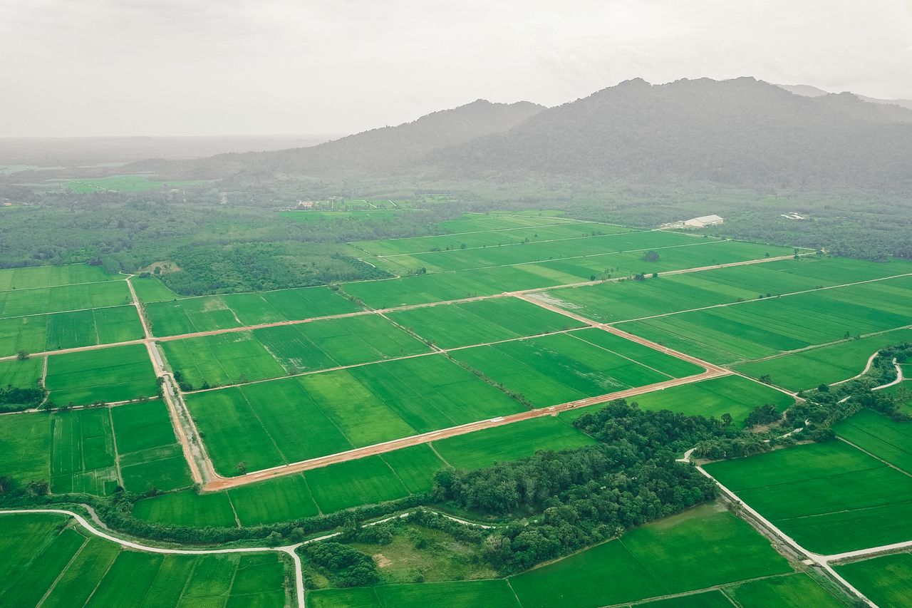 Plantation and mountain range under gray sky. Image by Pexels