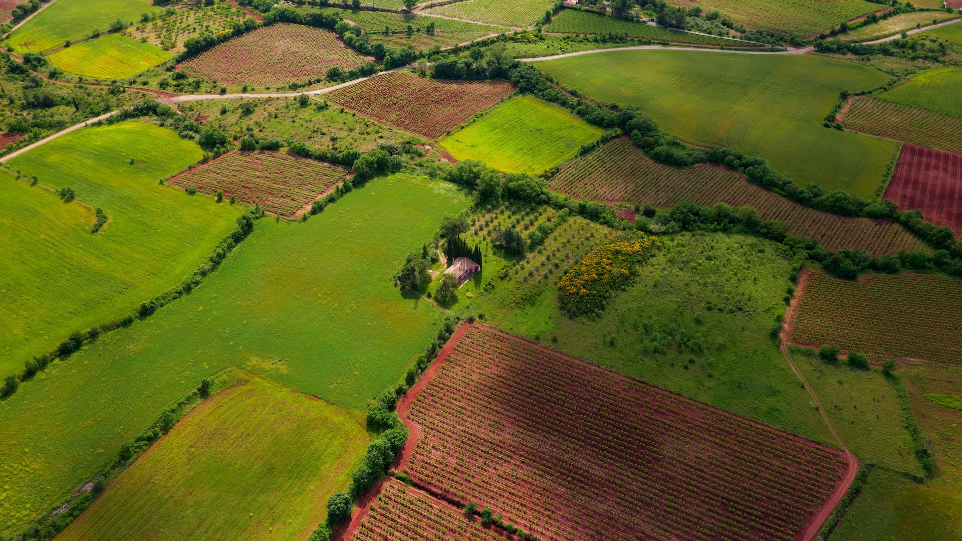 arial view of green land