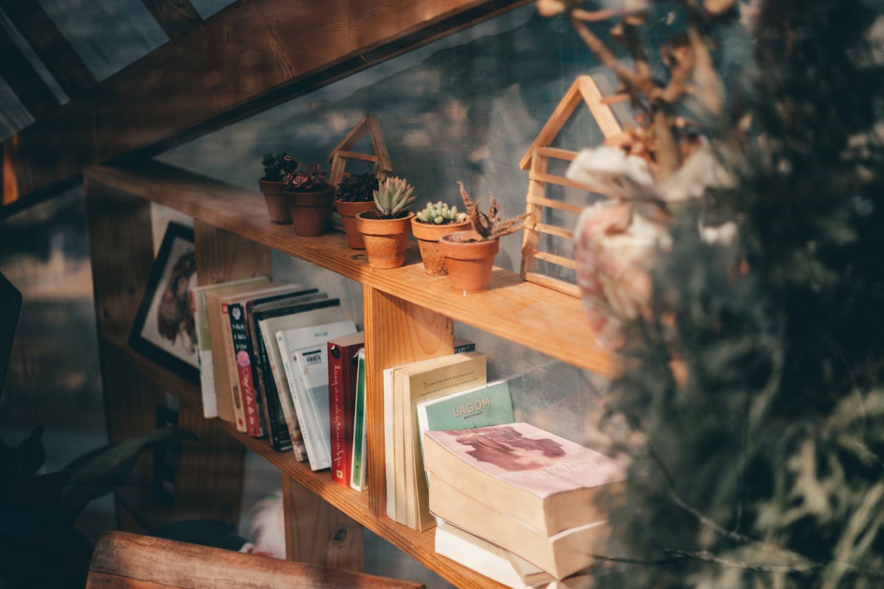 succulent plants on a bookshelf. Lots of books. Image by Pexels