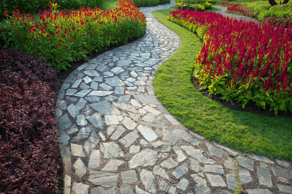Flowers along a stone pathway