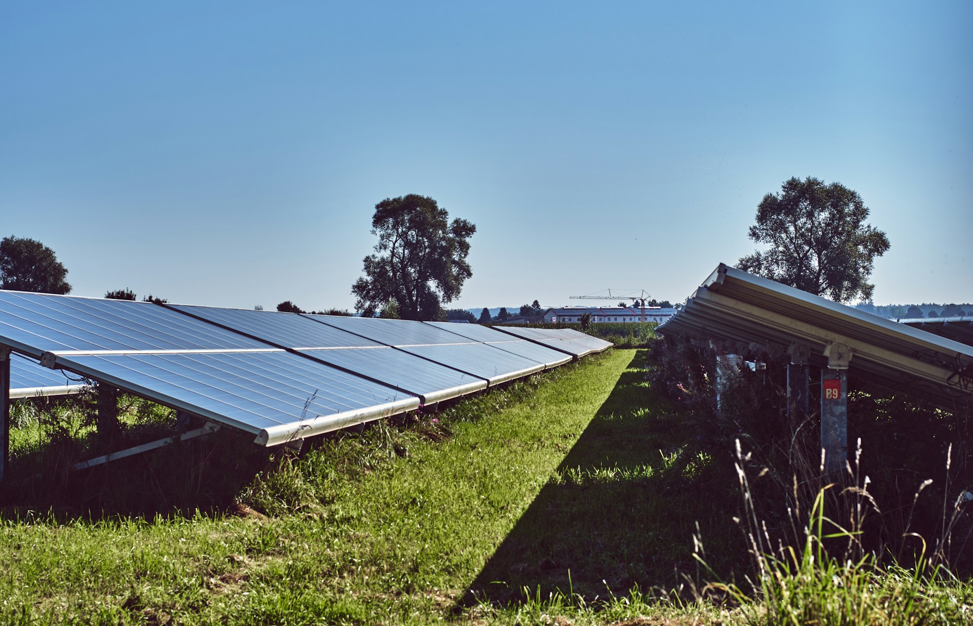 Solar panels on the ground. Green grass. Image by Unsplash.