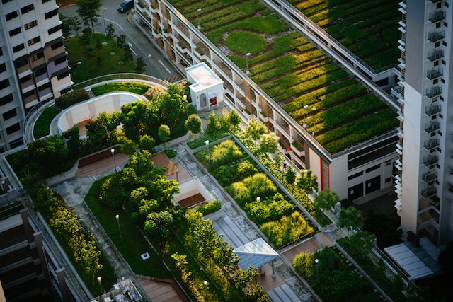 Building with green trees and bushes on the roof
