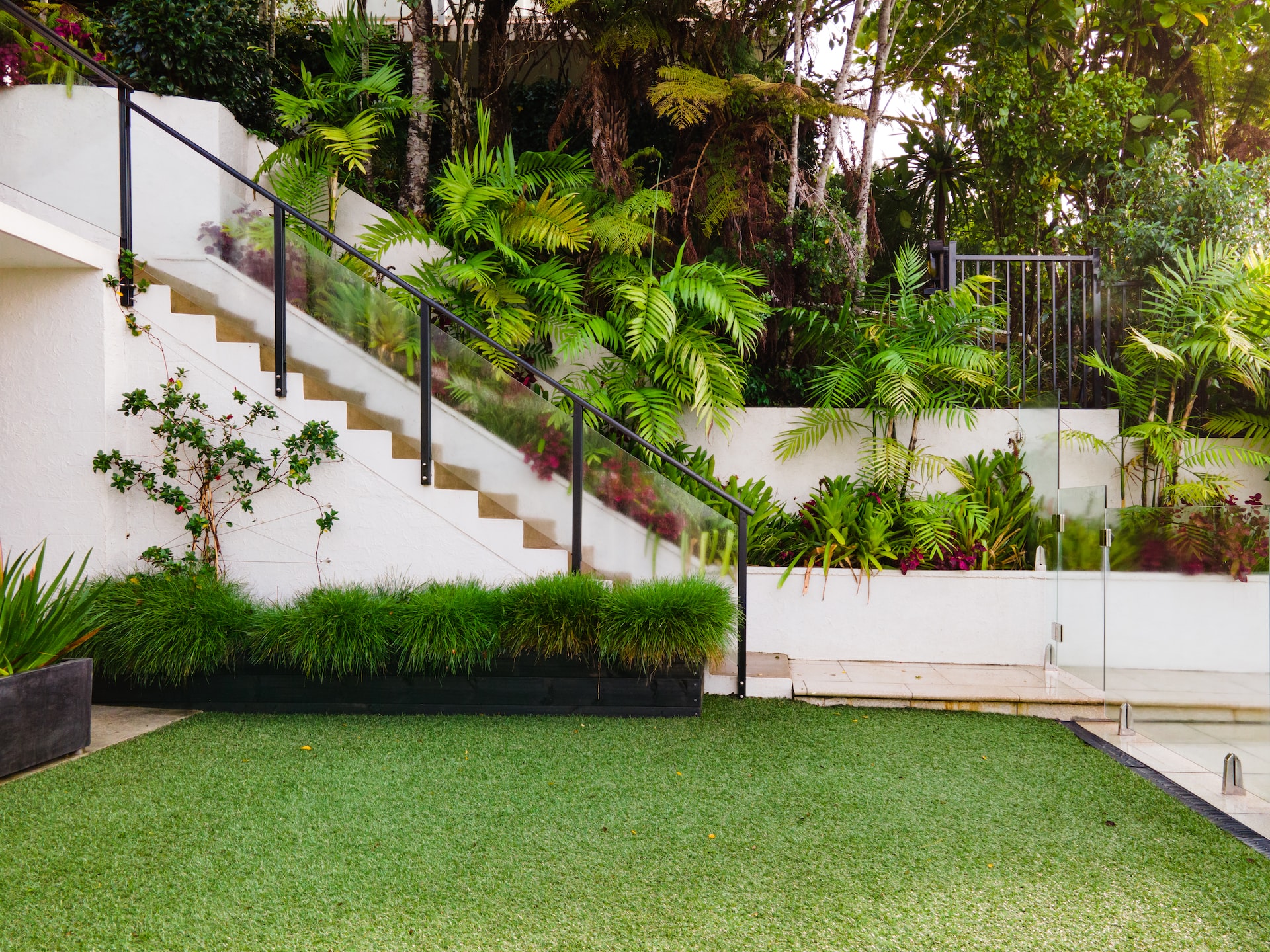 artificial grass, live plants