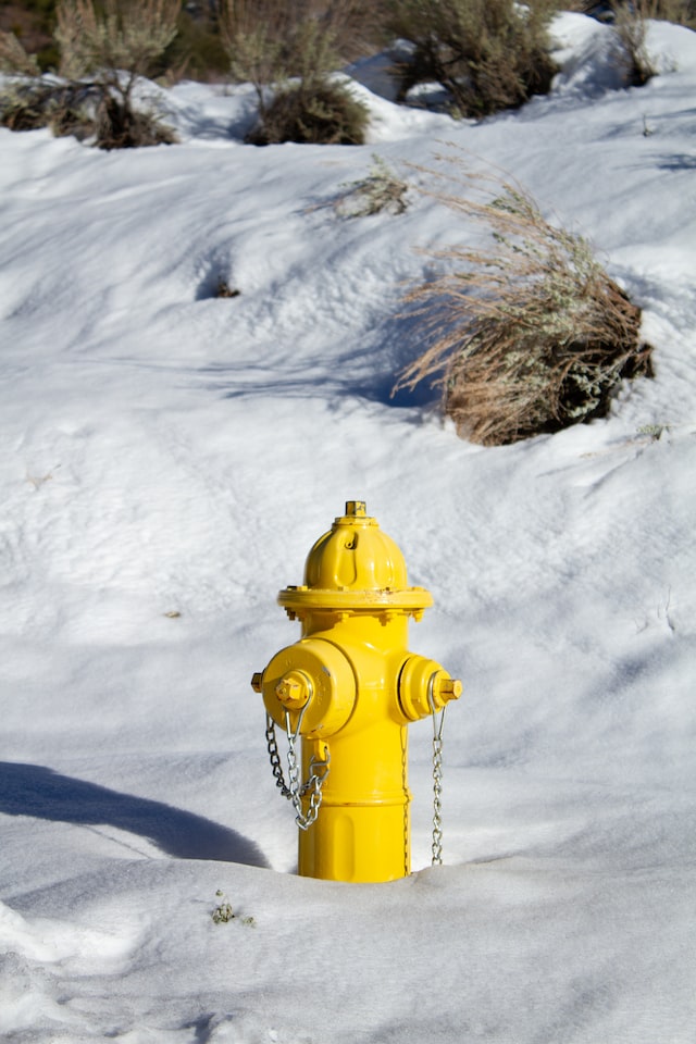 Fire hydrant in snow
