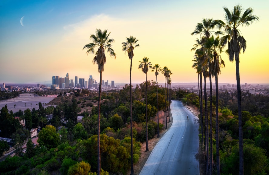Empty road surrounded by palm trees leading to the city of LA, California.