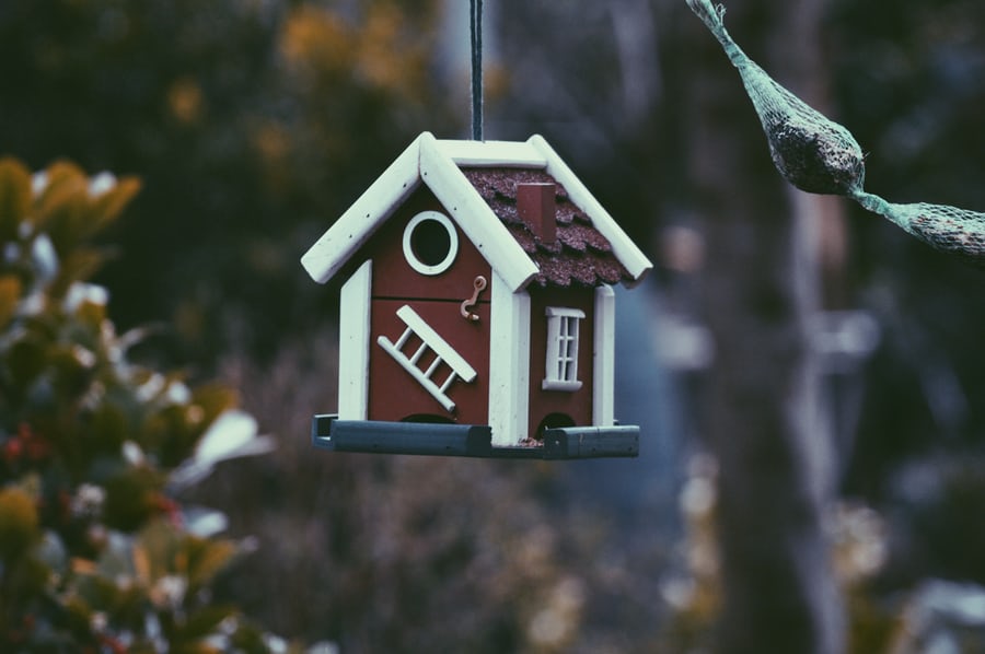 Hanging bird house