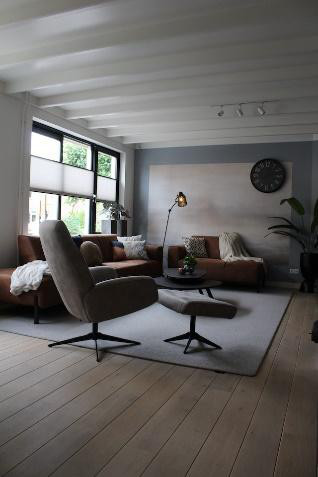 contemporary livingroom, wood flooring, rug, sofa, chair,clock on wall, plant