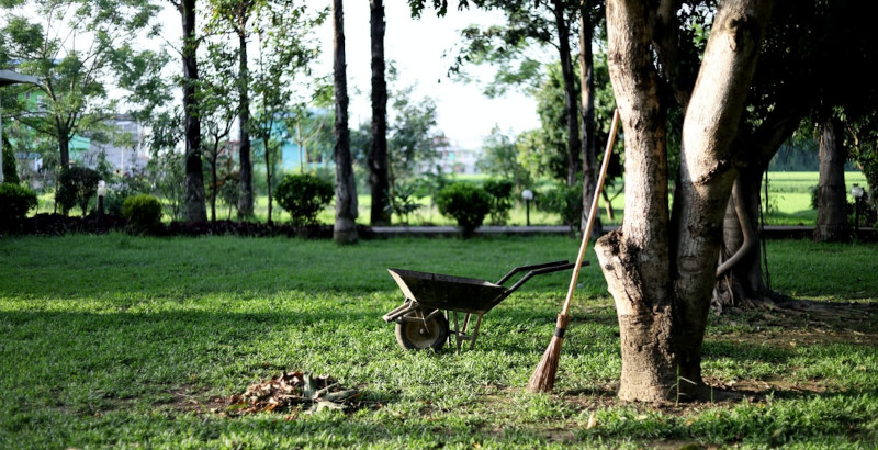 Wheelbarrow on grass, trees