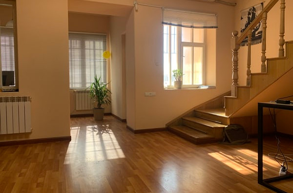 hardwood floor, staricase, plant on floor